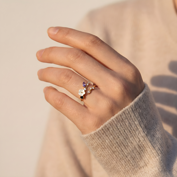 Anillo Primavera